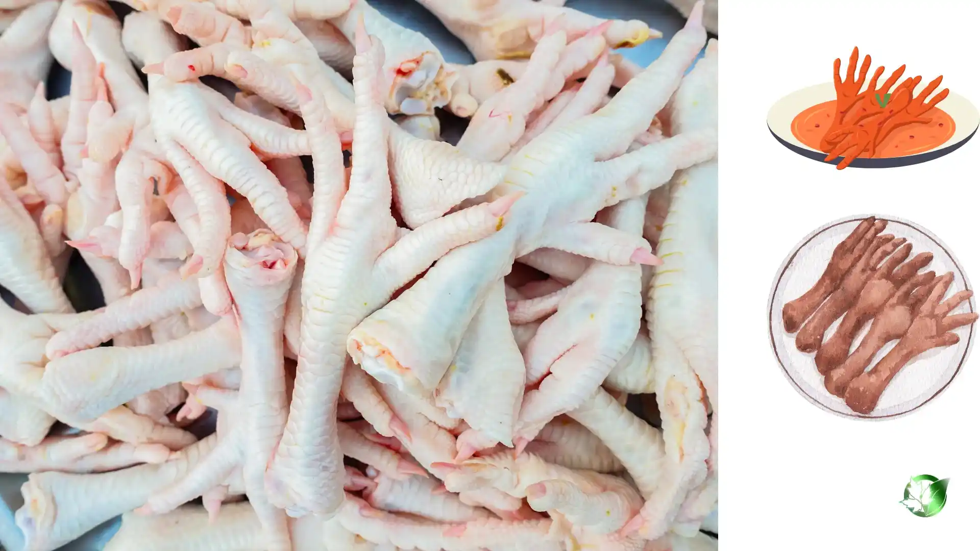 Commercial presentation of Chicken Paws for wholesale product evaluation and buyer review.